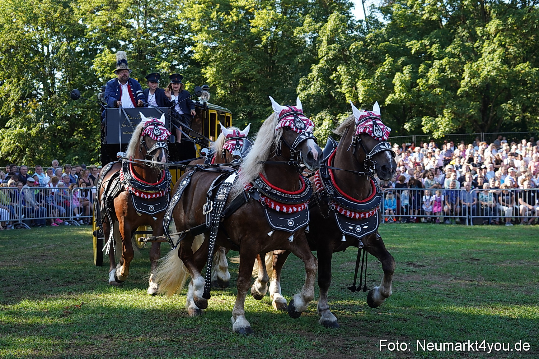 Pferde und Fohlenschau 2022 0018 